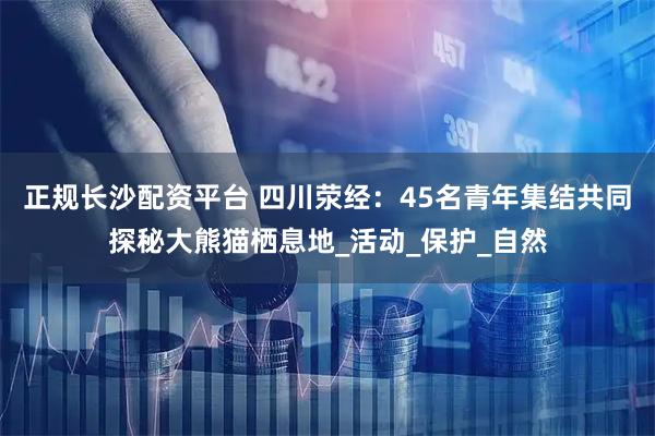 正规长沙配资平台 四川荥经：45名青年集结共同探秘大熊猫栖息地_活动_保护_自然