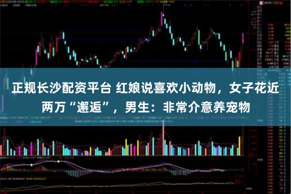 正规长沙配资平台 红娘说喜欢小动物,女子花近两万“邂逅”,男生:非常介意养宠物